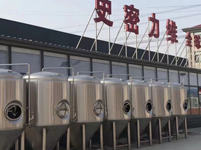 玛曲精酿啤酒设备厂—如何判断精酿啤酒设备的密封件需要更换？